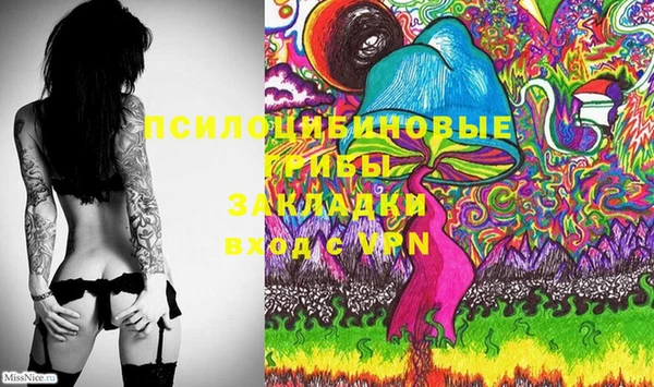 ПСИЛОЦИБИНОВЫЕ ГРИБЫ Лихославль