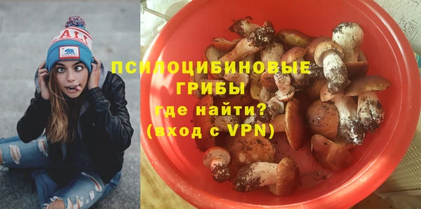 ешки Лиски