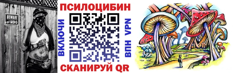 наркошоп Чёрмоз Псилоцибиновые грибы Psilocybe